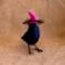 Magenta Moon wearing her hat for Halloween